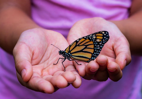The Wholeness Within: Accessing Our Cellular Matrix for Ultimate Wellbeing and Healing